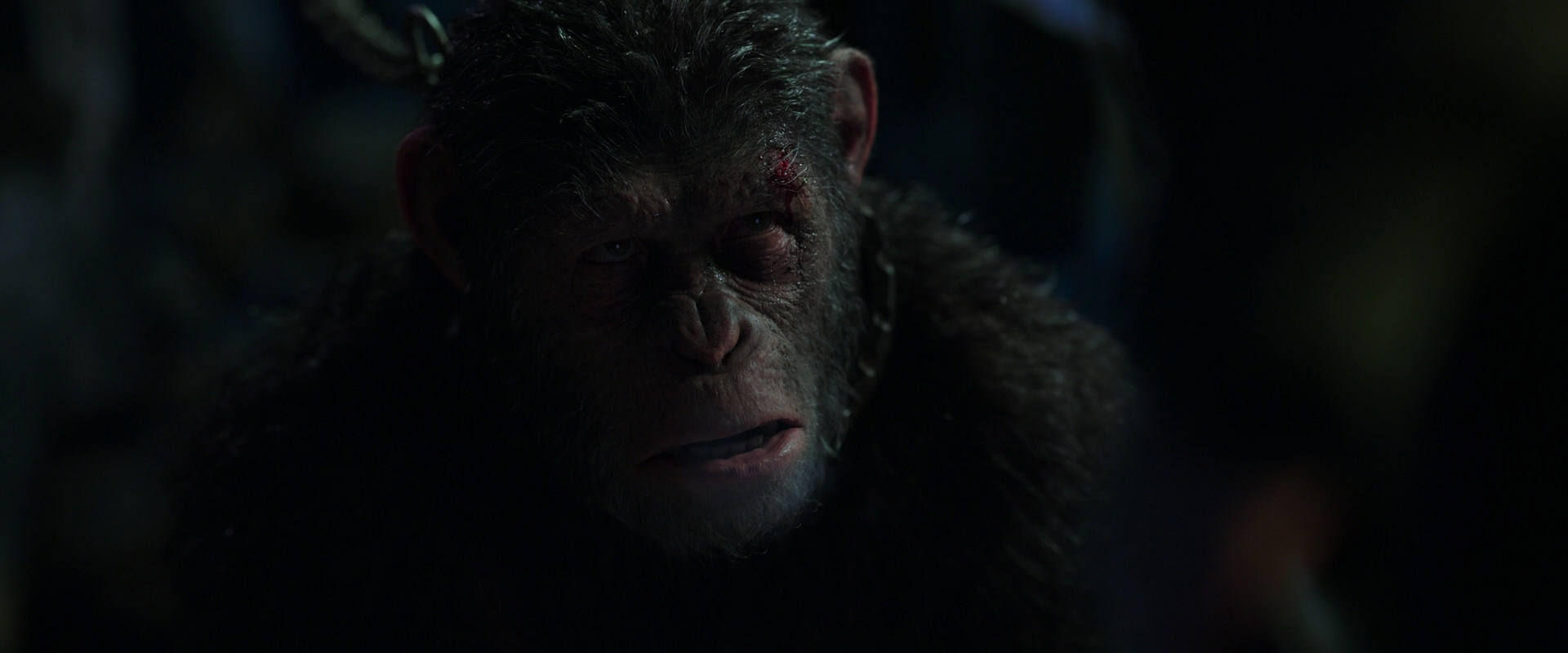 War for the Planet of the Apes (2017) movie still 7342