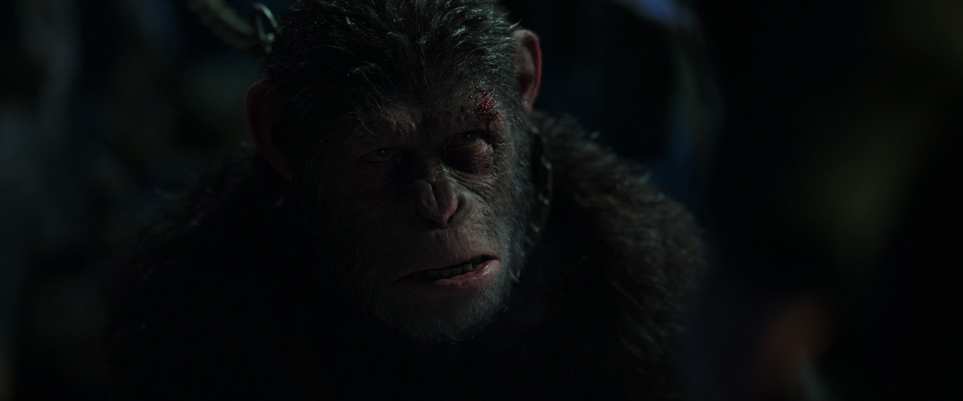 War for the Planet of the Apes (2017) HD screenshot 7343