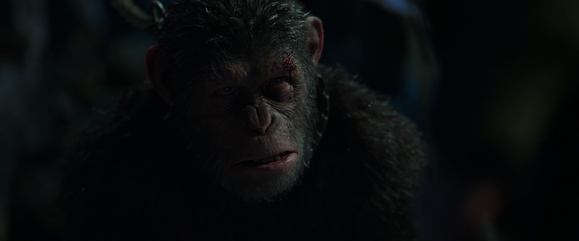 War for the Planet of the Apes (2017) screencap 7344