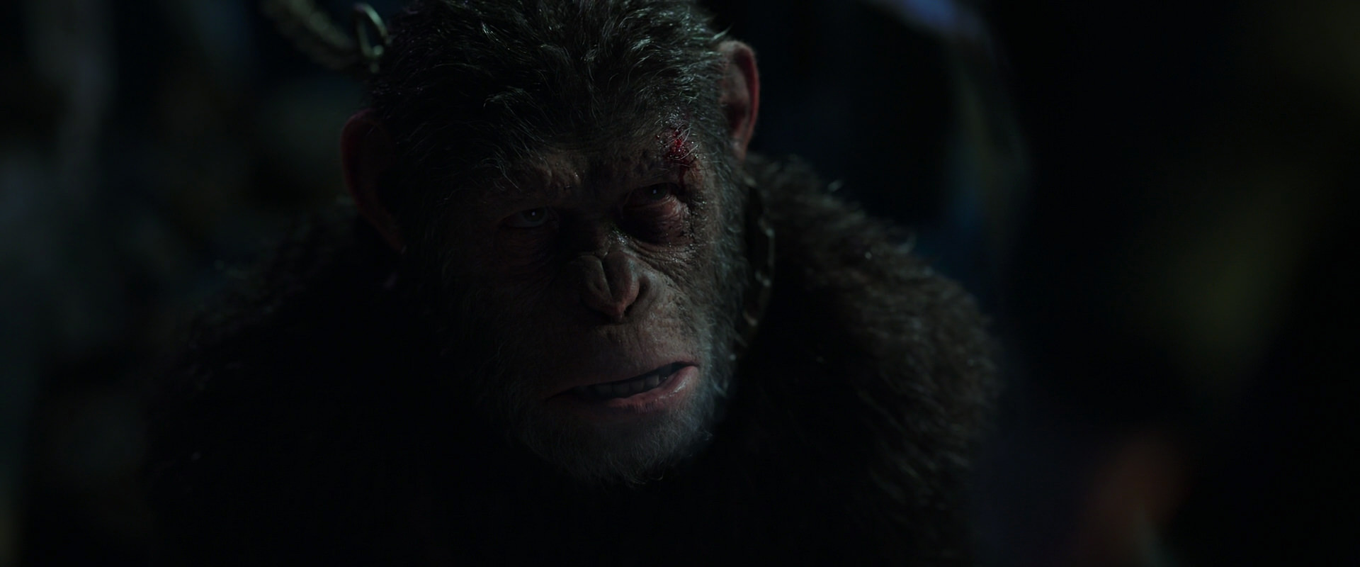 War for the Planet of the Apes (2017) movie still 7345