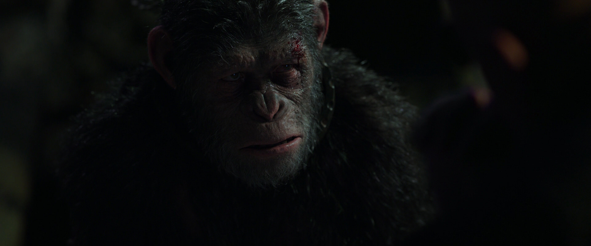 War for the Planet of the Apes (2017) HD screenshot 7373