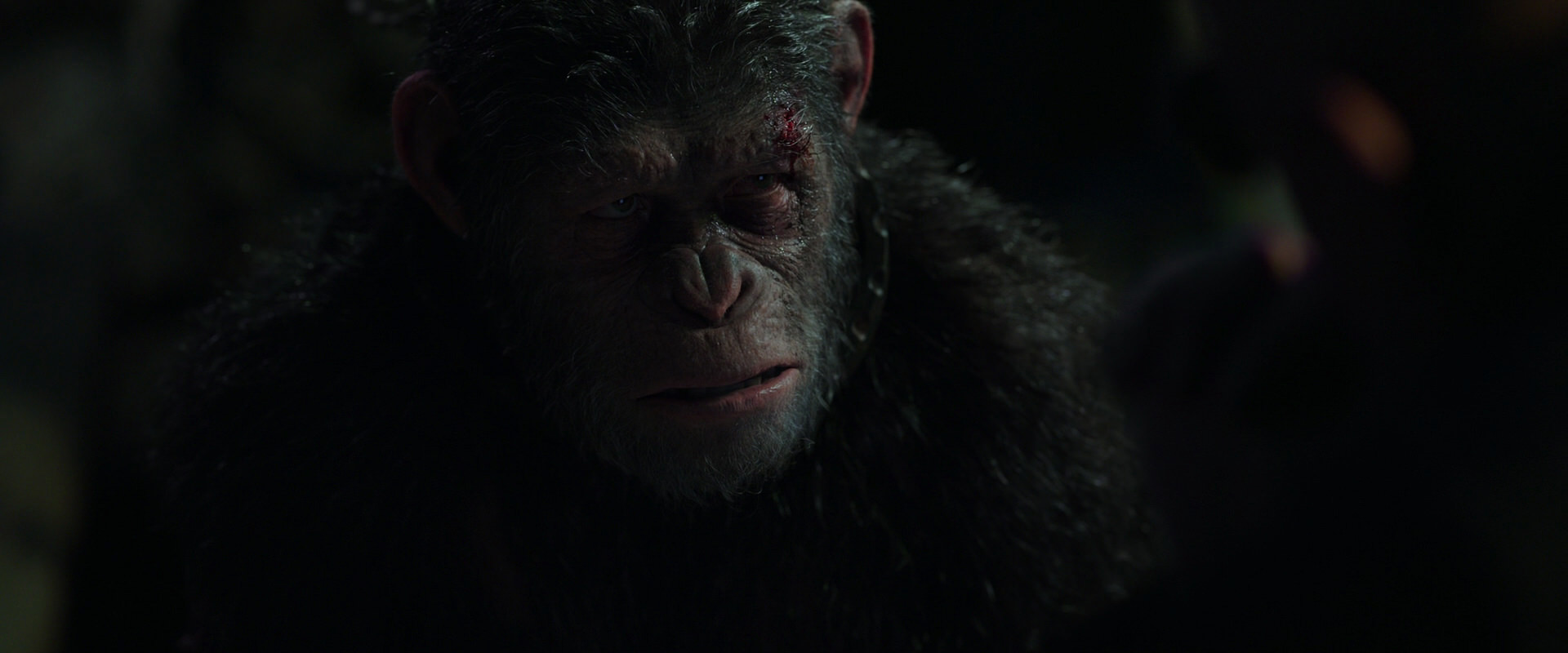 War for the Planet of the Apes (2017) screencap 7374