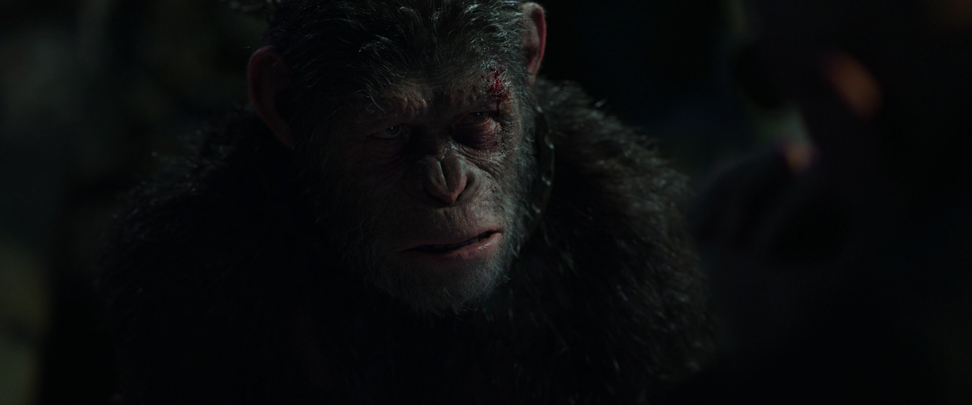 War for the Planet of the Apes (2017) movie still 7375
