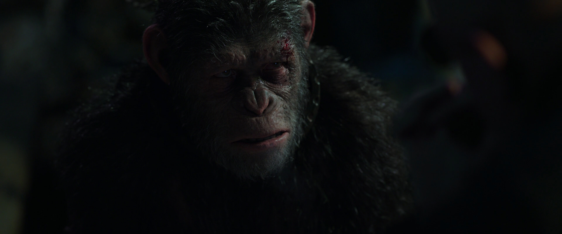 War for the Planet of the Apes (2017) HD screenshot 7376
