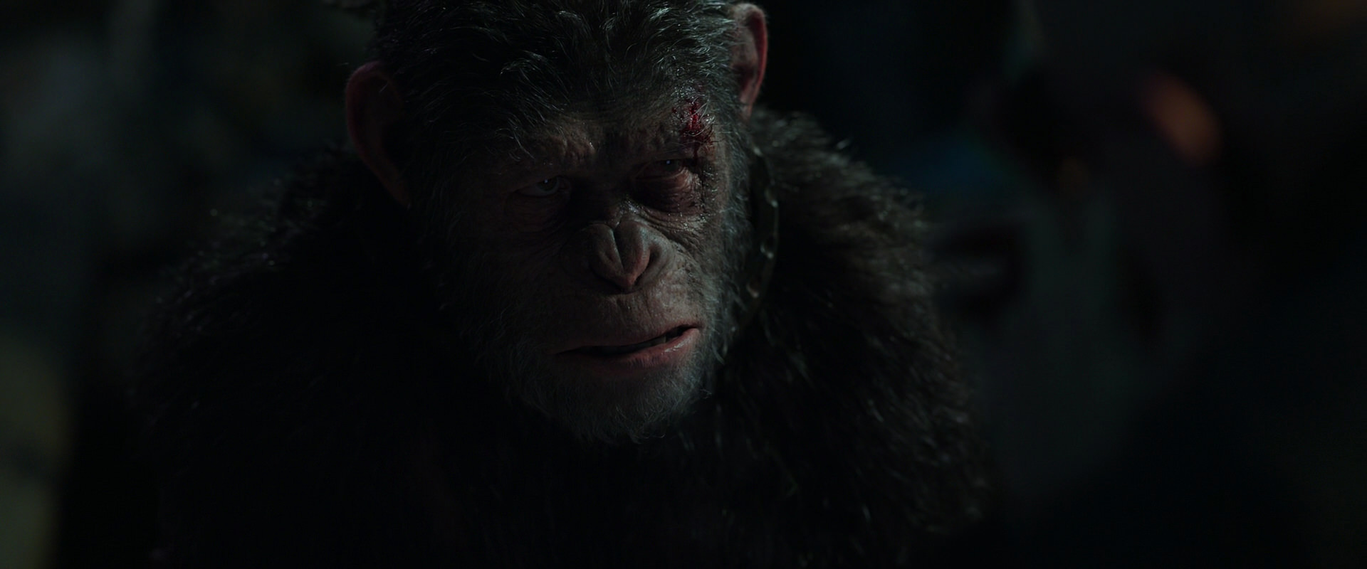 War for the Planet of the Apes (2017) screencap 7377