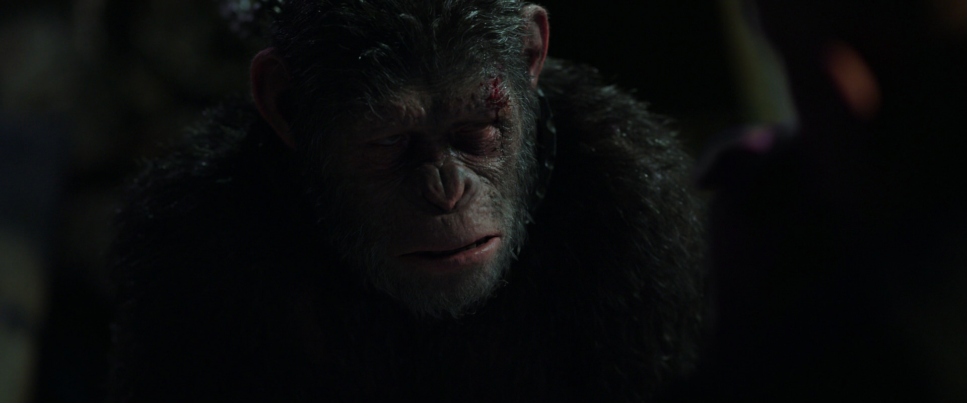 War for the Planet of the Apes (2017) HD screenshot 7409