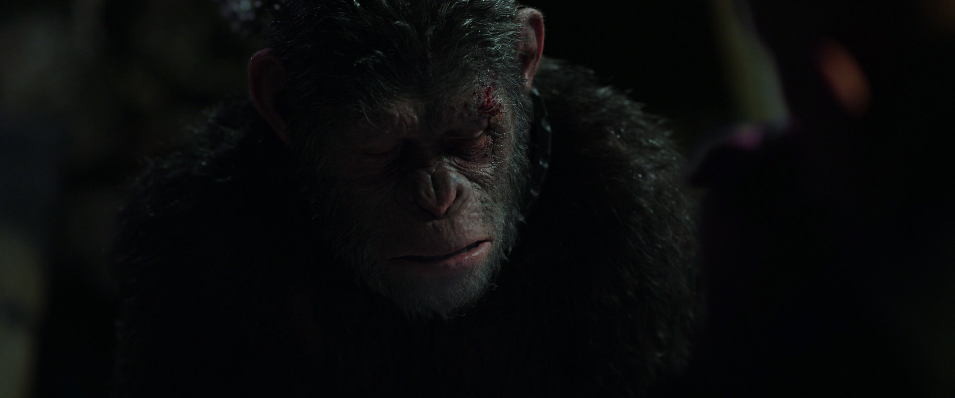 War for the Planet of the Apes (2017) screencap 7410