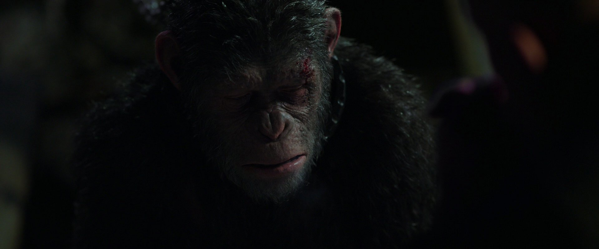War for the Planet of the Apes (2017) movie still 7411