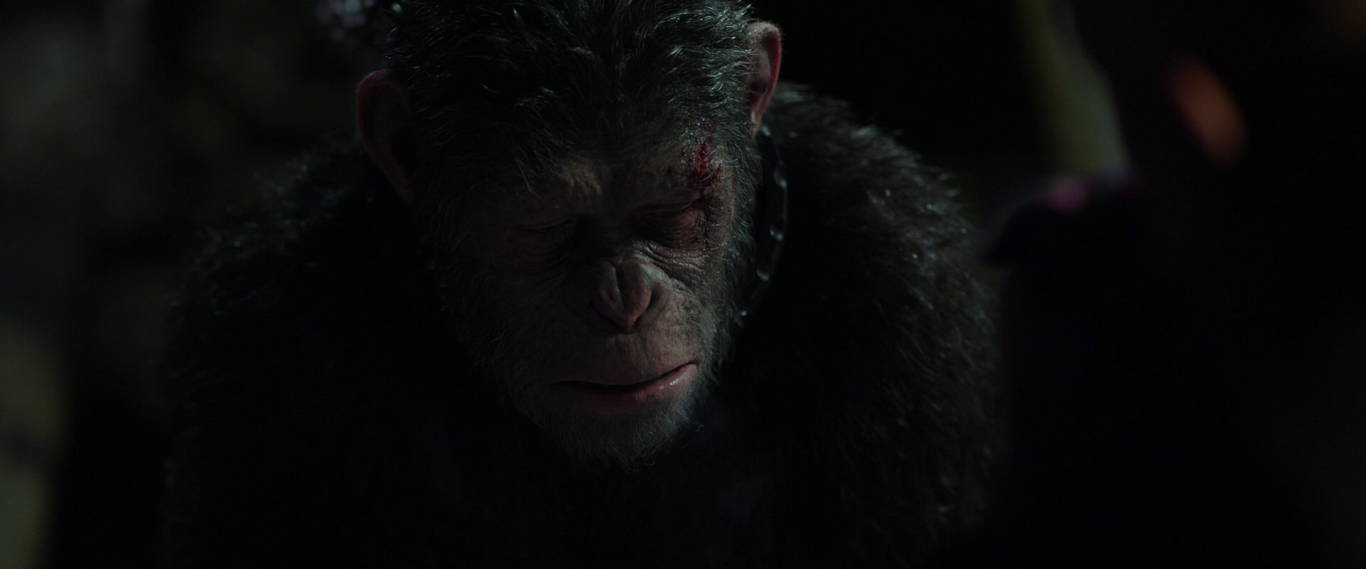 War for the Planet of the Apes (2017) HD screenshot 7412