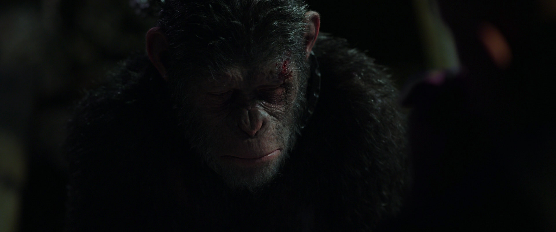 War for the Planet of the Apes (2017) screencap 7413