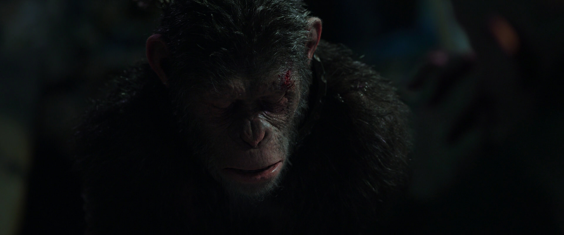 War for the Planet of the Apes (2017) movie still 7426