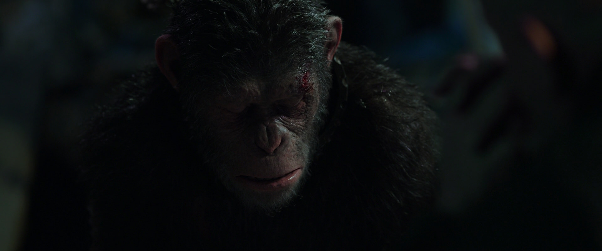 War for the Planet of the Apes (2017) HD screenshot 7427