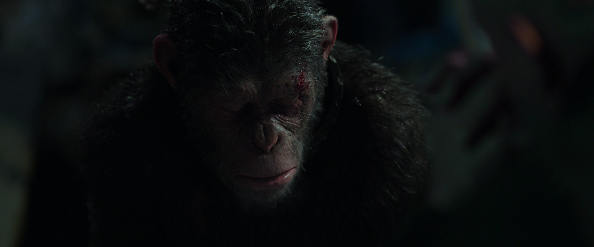 War for the Planet of the Apes (2017) screencap 7428