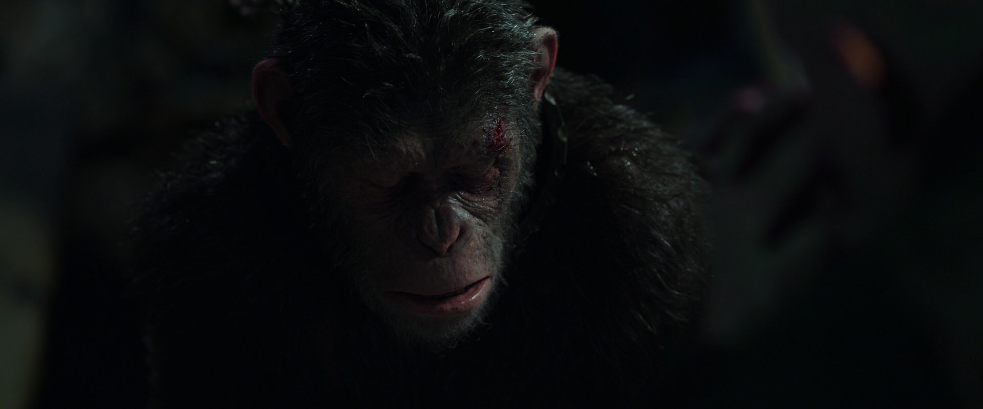 War for the Planet of the Apes (2017) movie still 7429