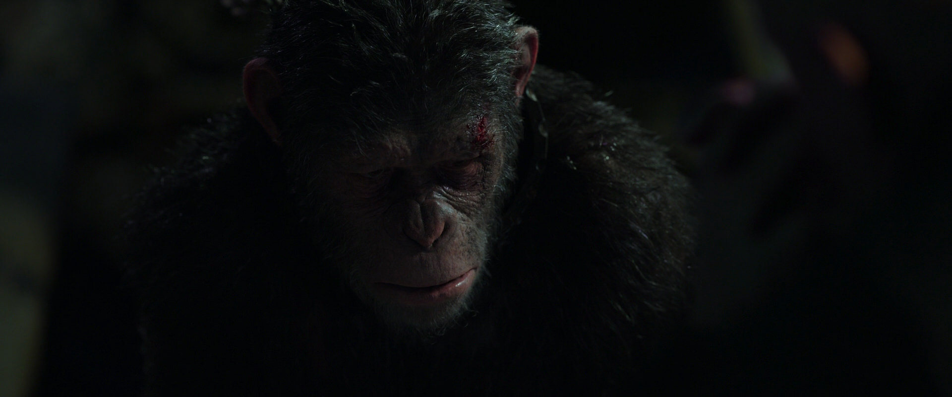 War for the Planet of the Apes (2017) screencap 7431