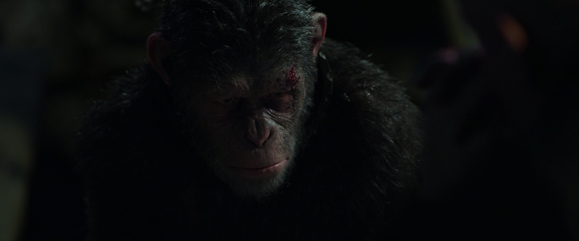 War for the Planet of the Apes (2017) movie still 7432