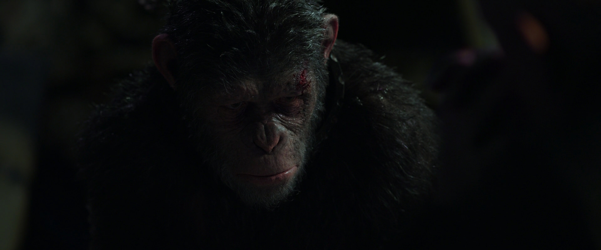 War for the Planet of the Apes (2017) HD screenshot 7433