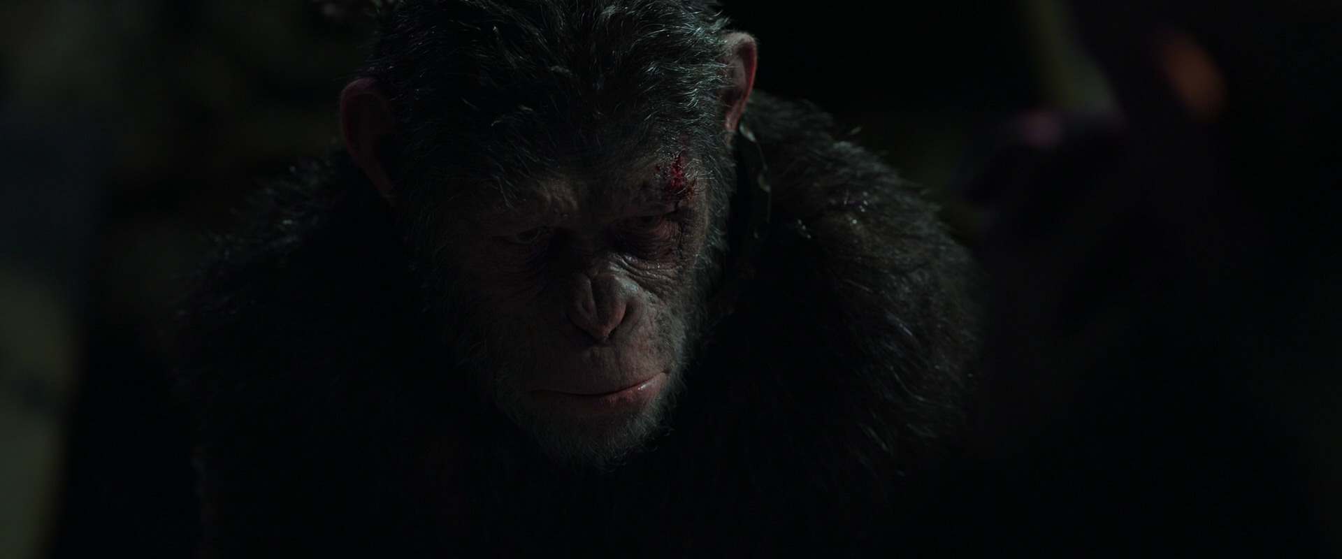 War for the Planet of the Apes (2017) screencap 7434