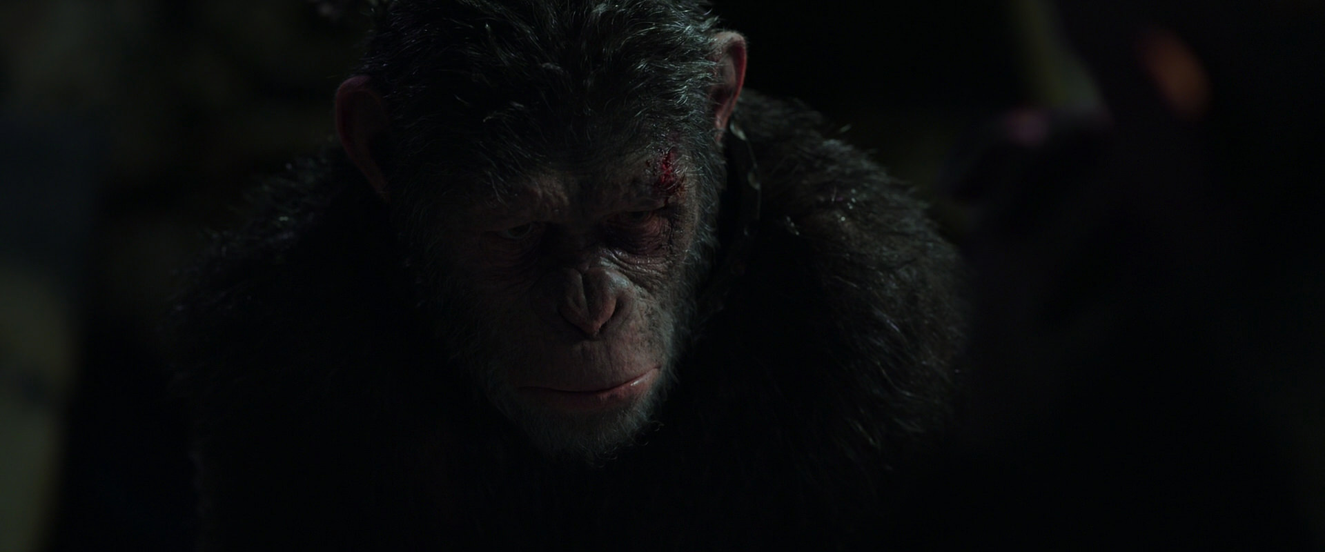 War for the Planet of the Apes (2017) movie still 7435