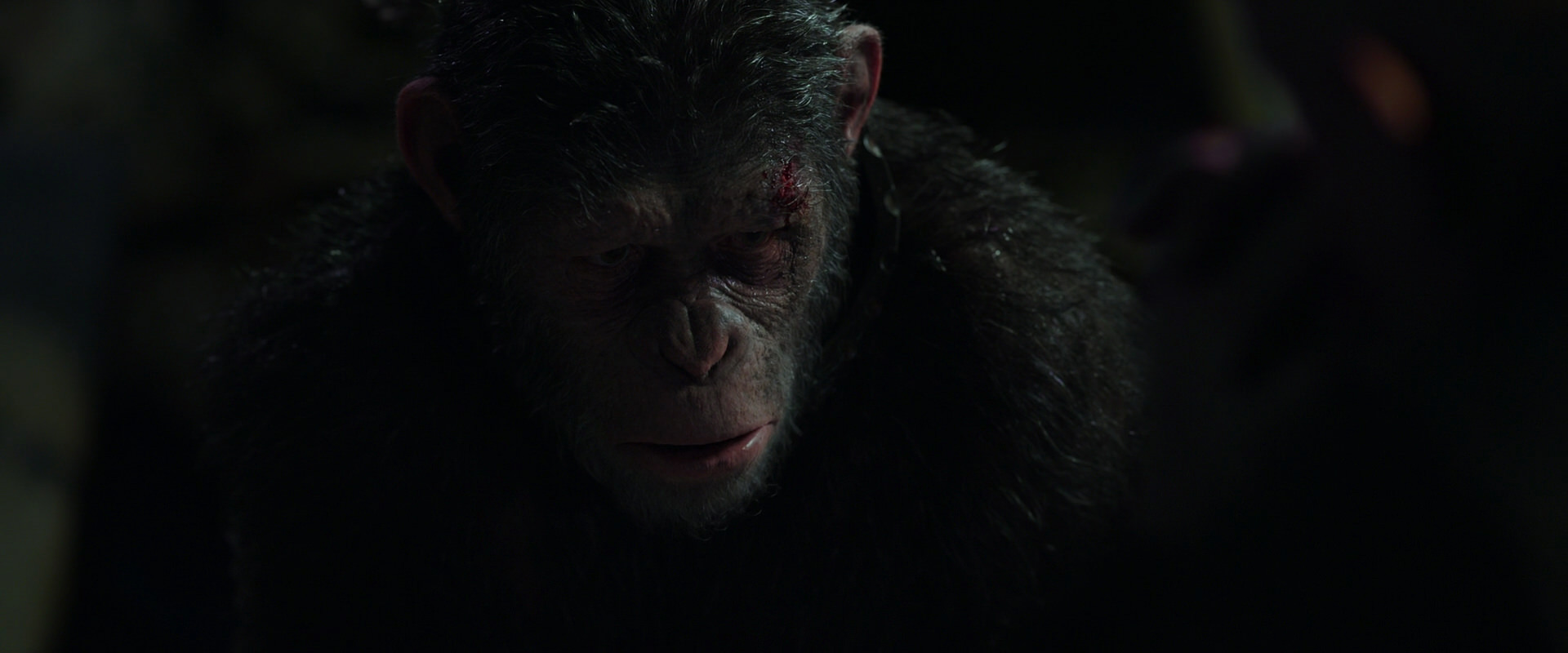 War for the Planet of the Apes (2017) HD screenshot 7436