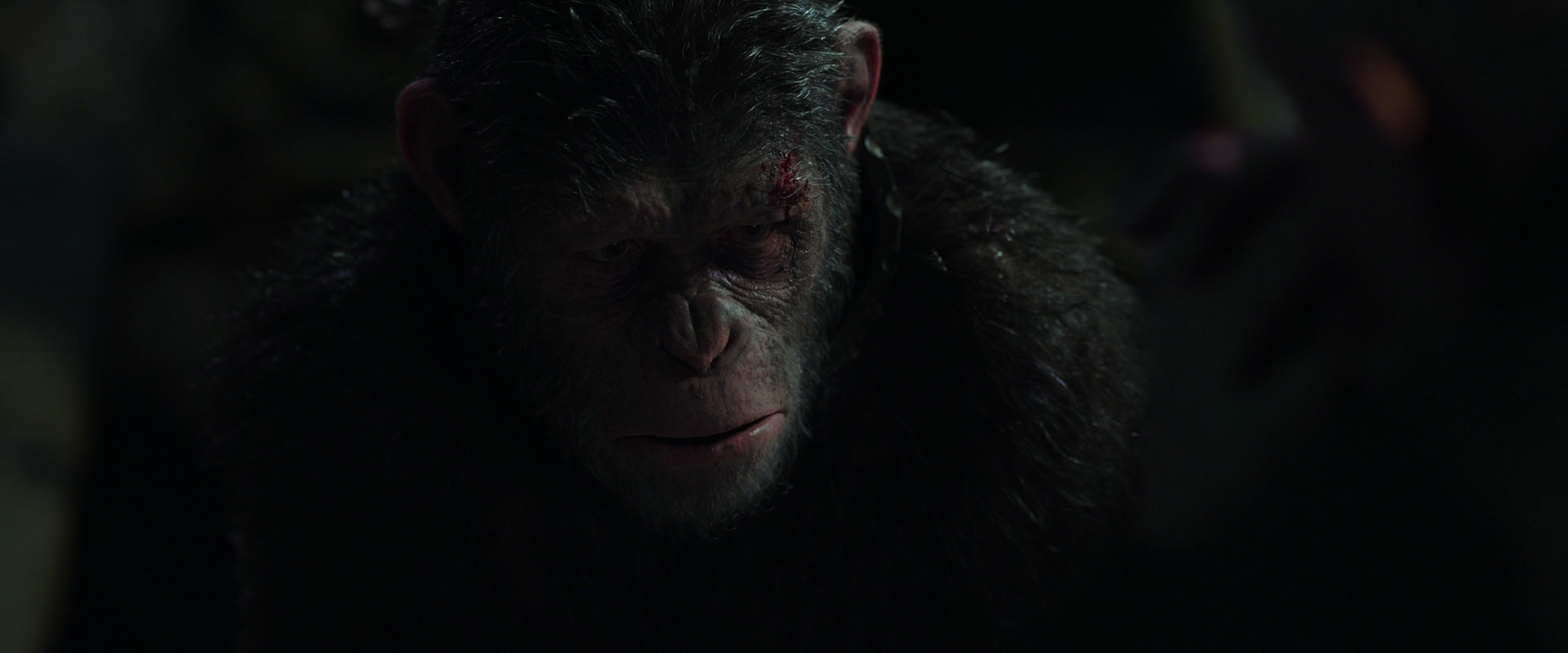 War for the Planet of the Apes (2017) movie still 7438