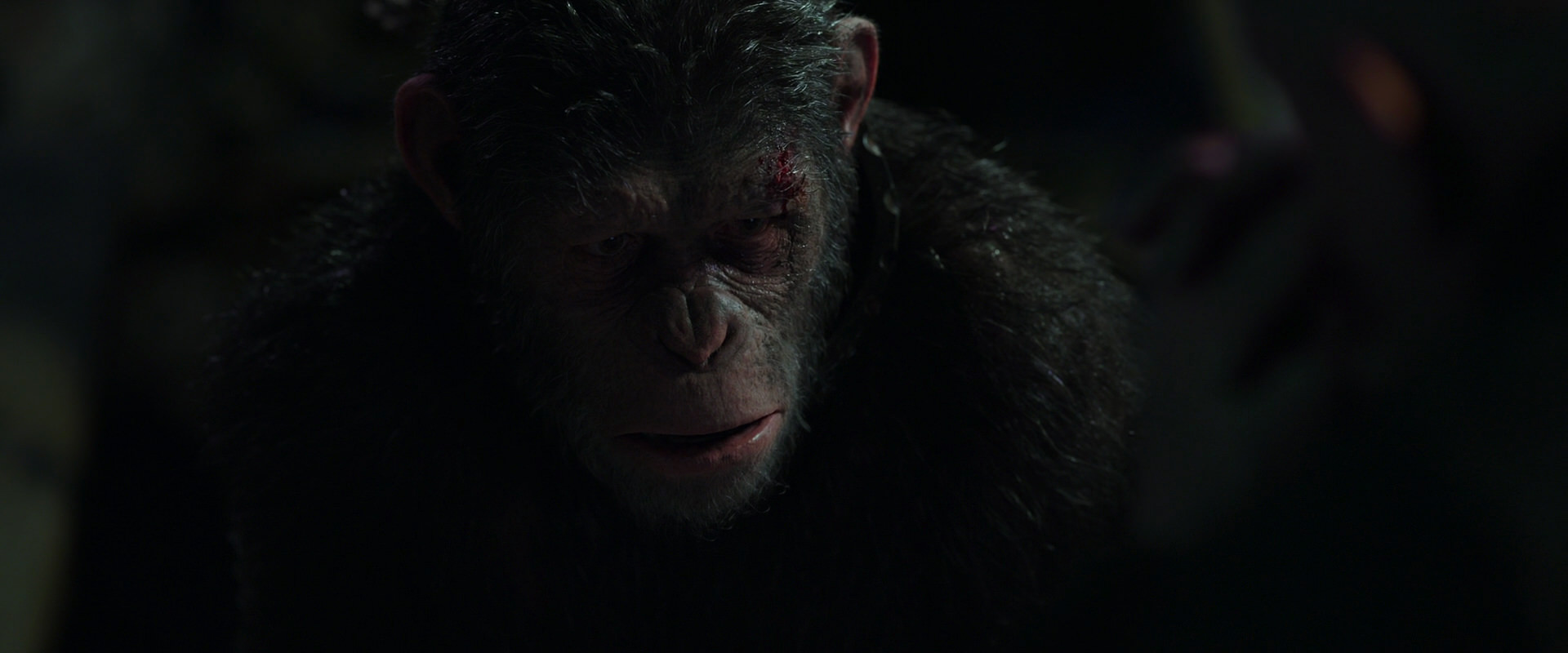 War for the Planet of the Apes (2017) HD screenshot 7439