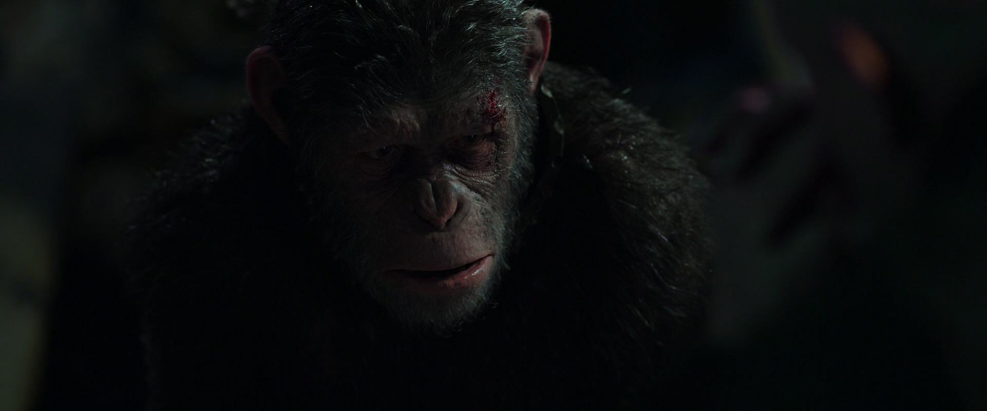 War for the Planet of the Apes (2017) screencap 7440