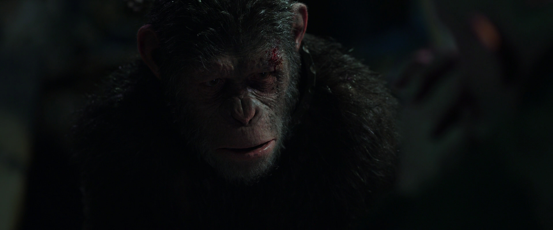 War for the Planet of the Apes (2017) movie still 7441