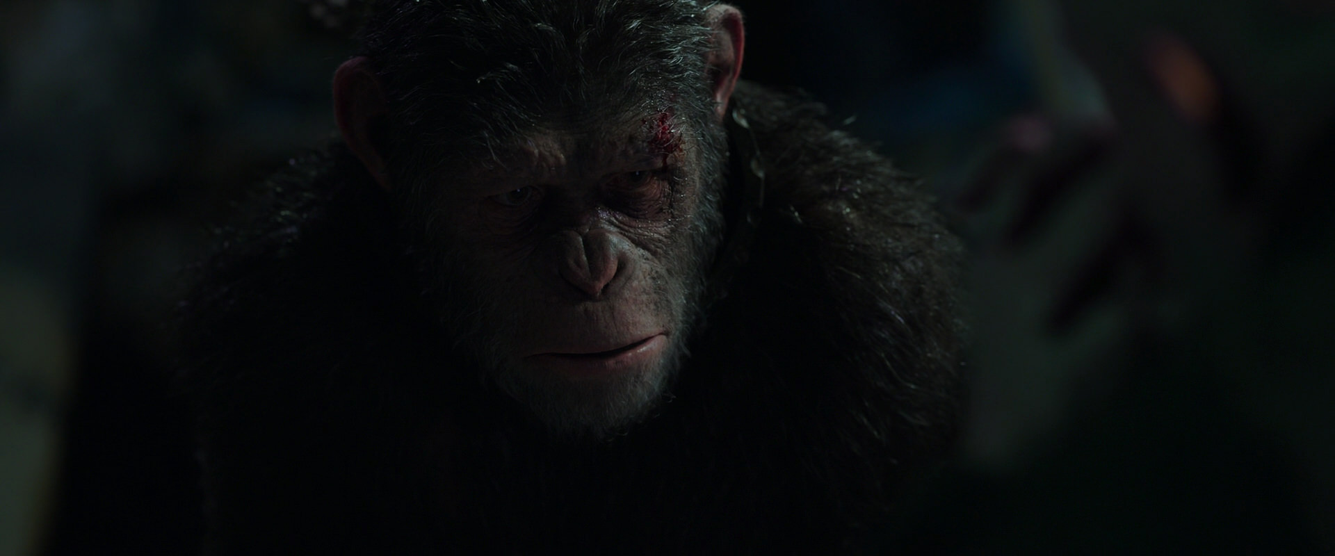 War for the Planet of the Apes (2017) HD screenshot 7442