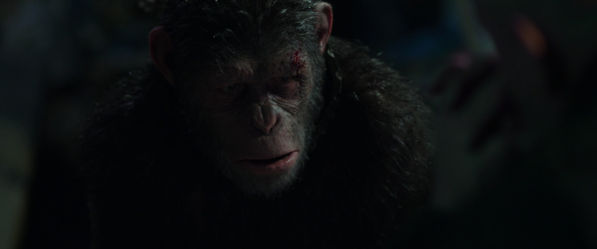 War for the Planet of the Apes (2017) screencap 7443