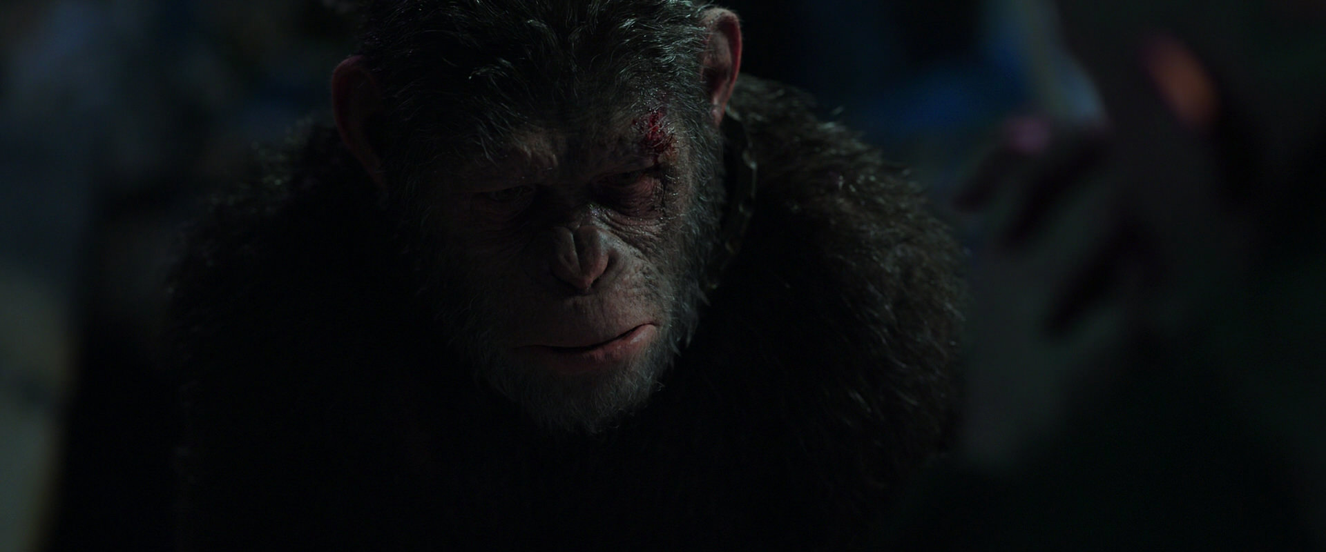 War for the Planet of the Apes (2017) HD screenshot 7448