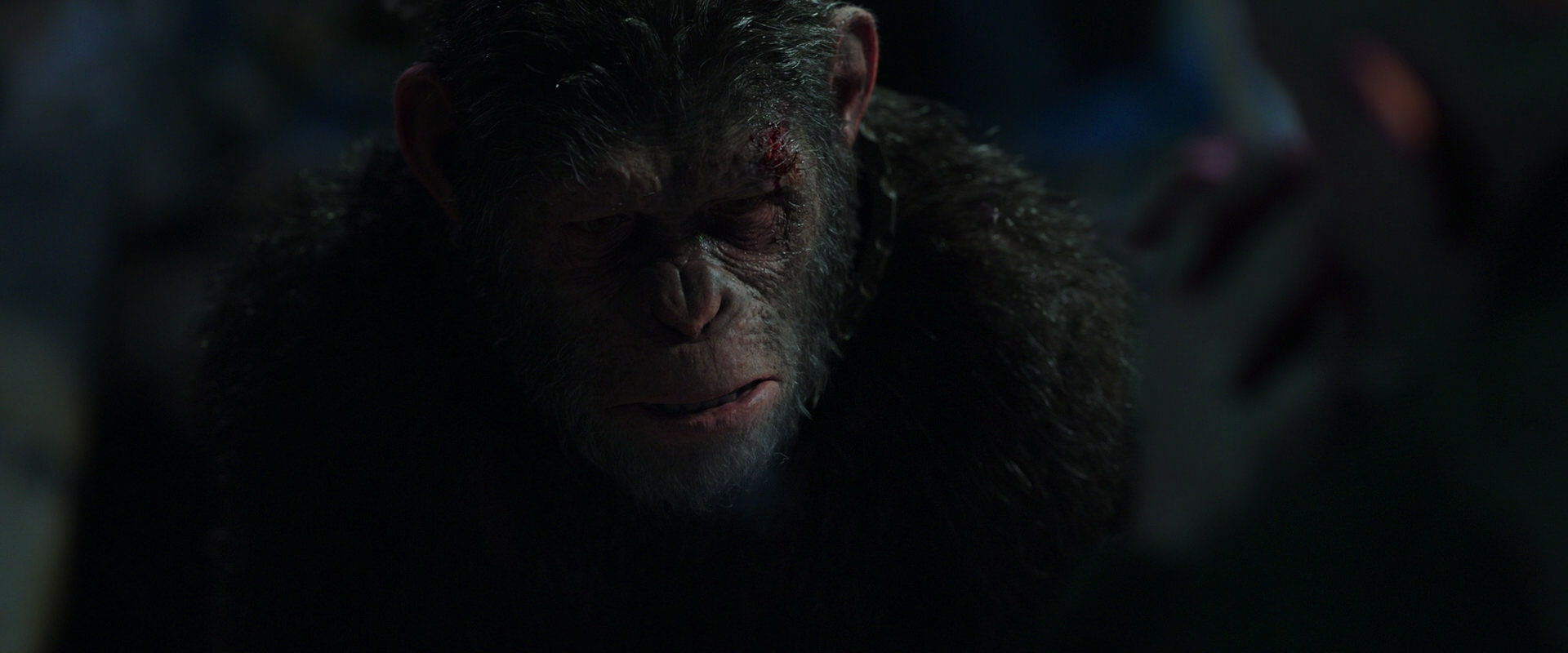 War for the Planet of the Apes (2017) screencap 7449