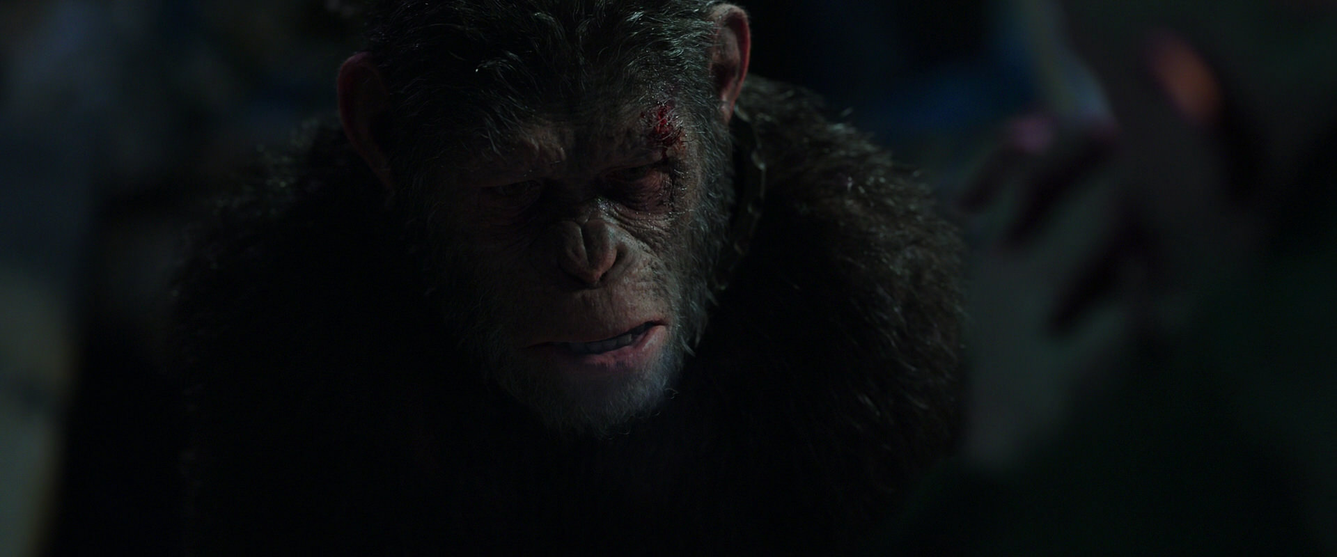 War for the Planet of the Apes (2017) movie still 7450
