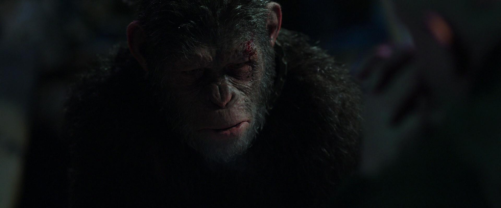 War for the Planet of the Apes (2017) HD screenshot 7451