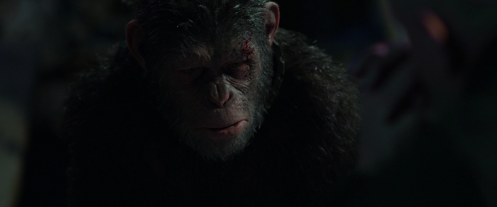 War for the Planet of the Apes (2017) screencap 7452