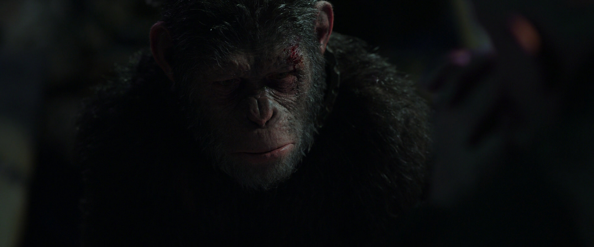 War for the Planet of the Apes (2017) movie still 7453