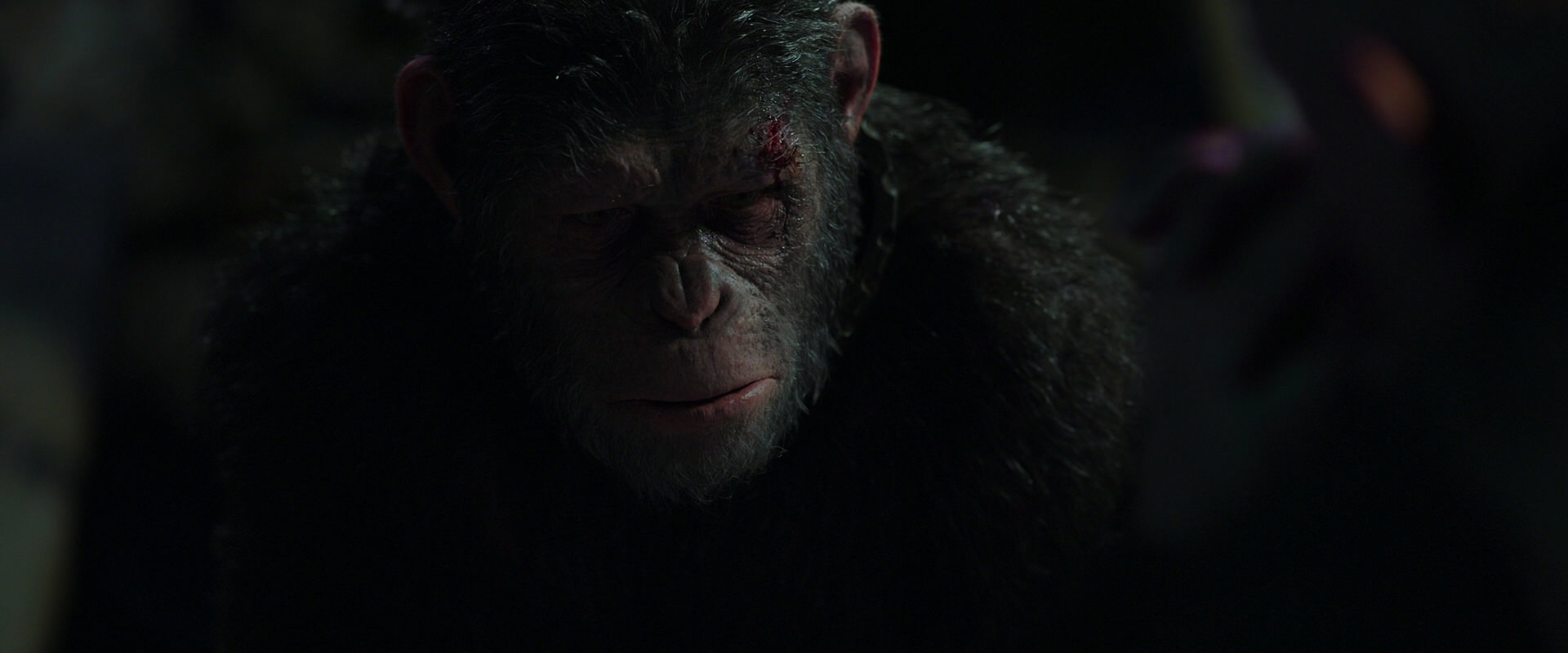 War for the Planet of the Apes (2017) HD screenshot 7454