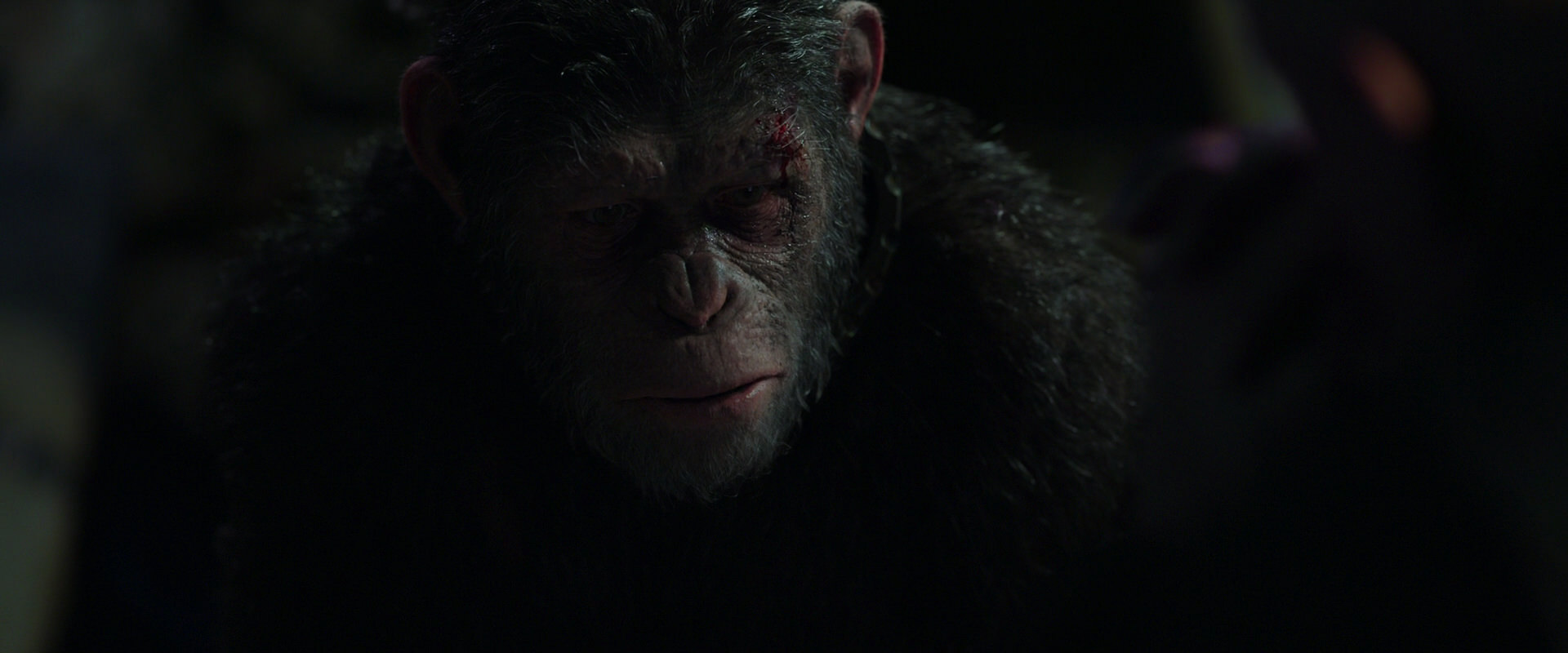War for the Planet of the Apes (2017) screencap 7455