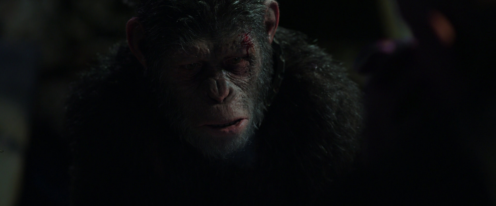 War for the Planet of the Apes (2017) movie still 7456