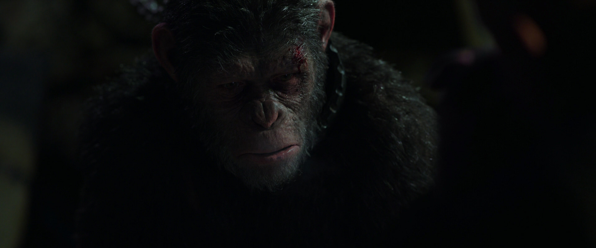 War for the Planet of the Apes (2017) HD screenshot 7466
