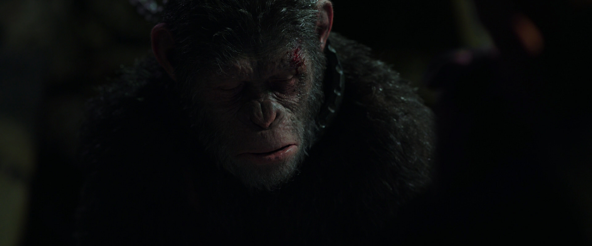 War for the Planet of the Apes (2017) movie still 7468