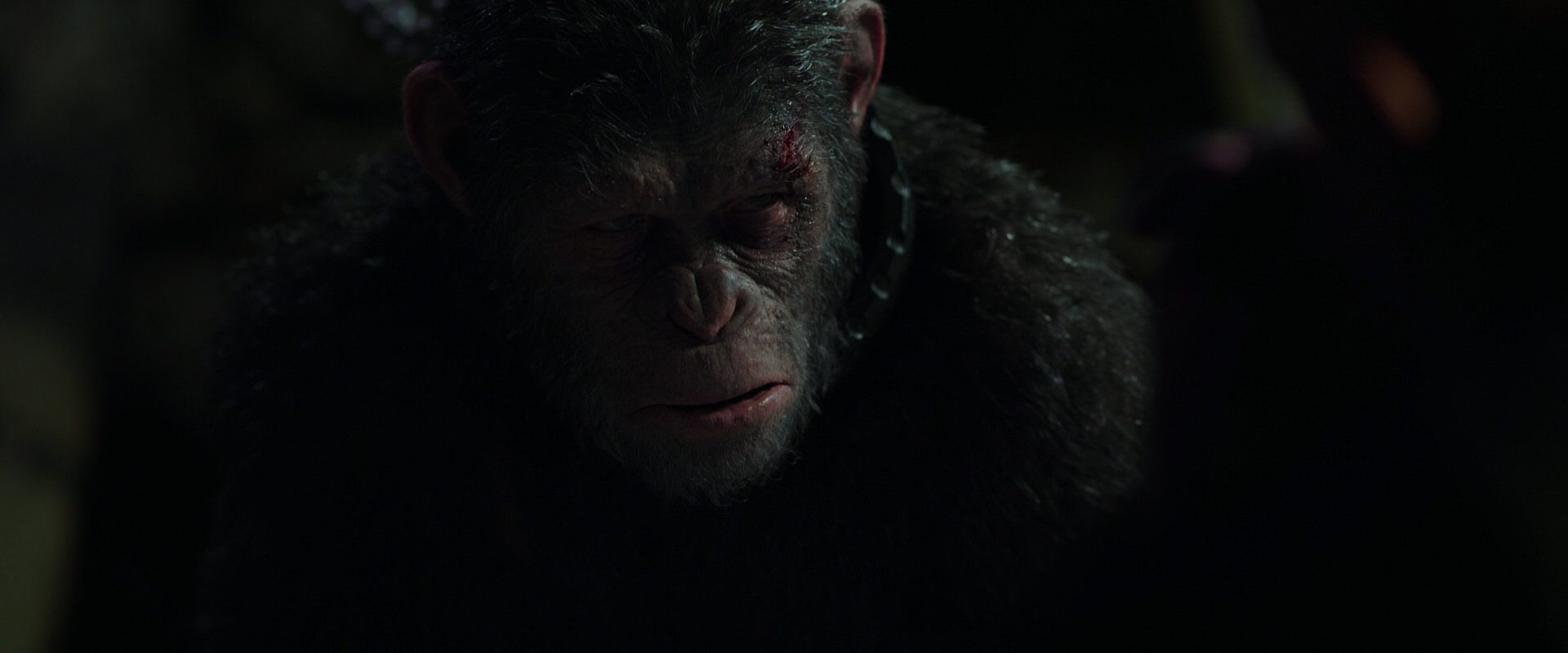 War for the Planet of the Apes (2017) HD screenshot 7469