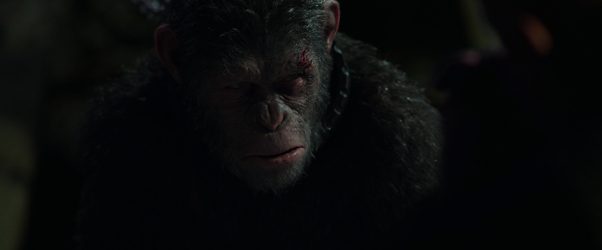 War for the Planet of the Apes (2017) screencap 7470