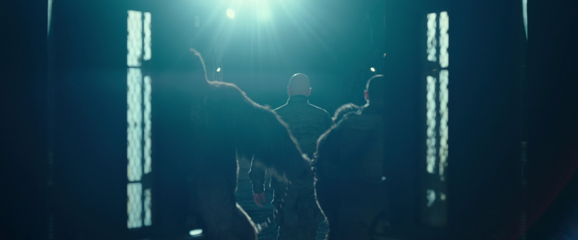 War for the Planet of the Apes (2017) HD screenshot 7508