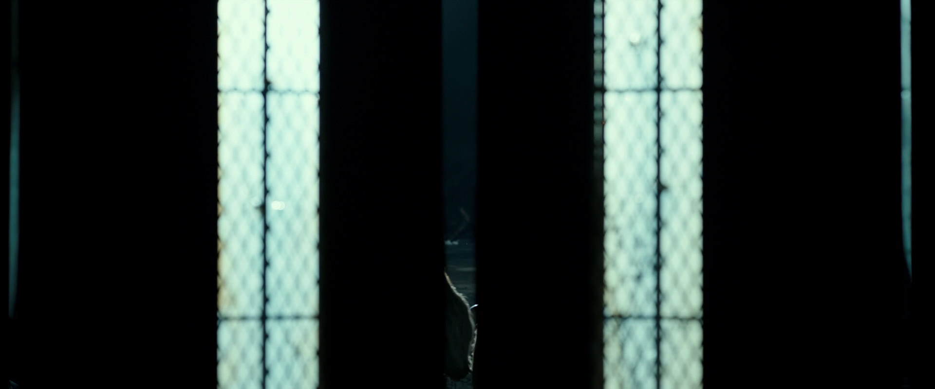 War for the Planet of the Apes (2017) screencap 7515