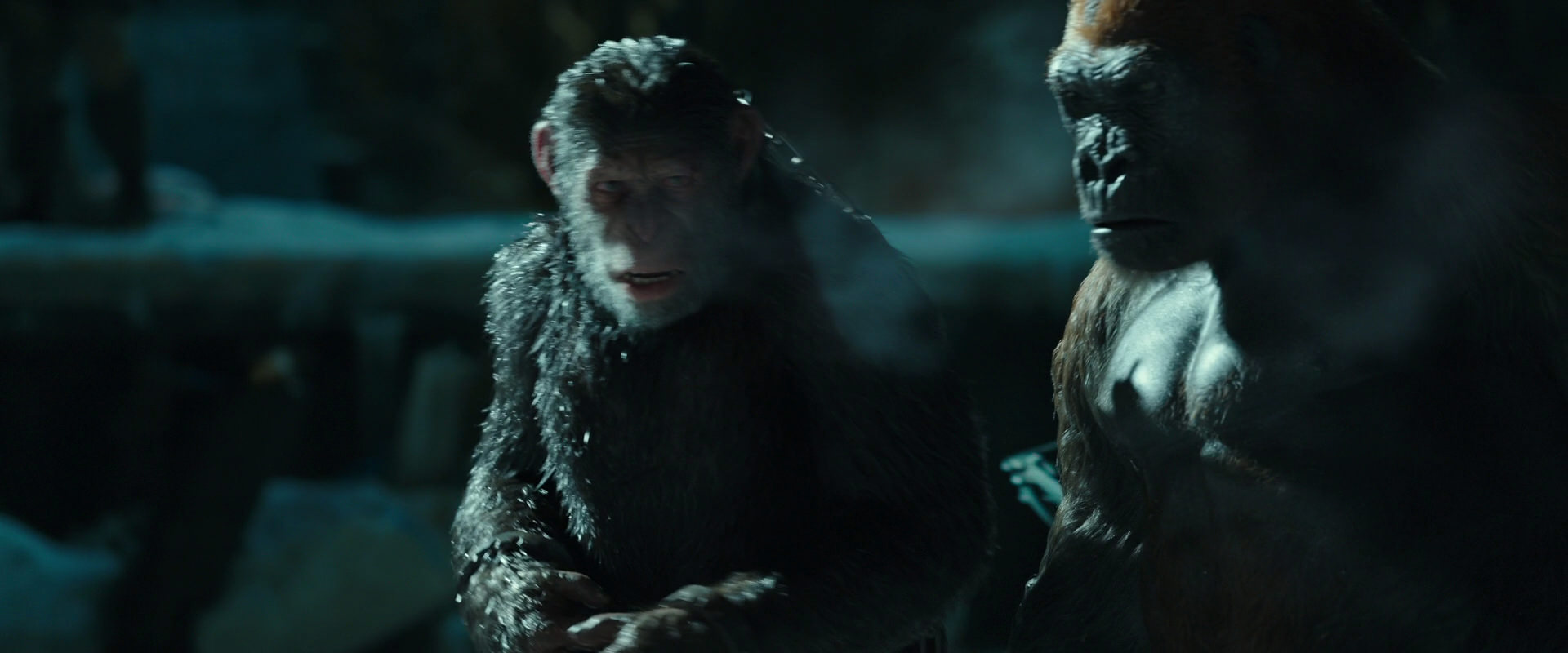 War for the Planet of the Apes (2017) HD screenshot 7526