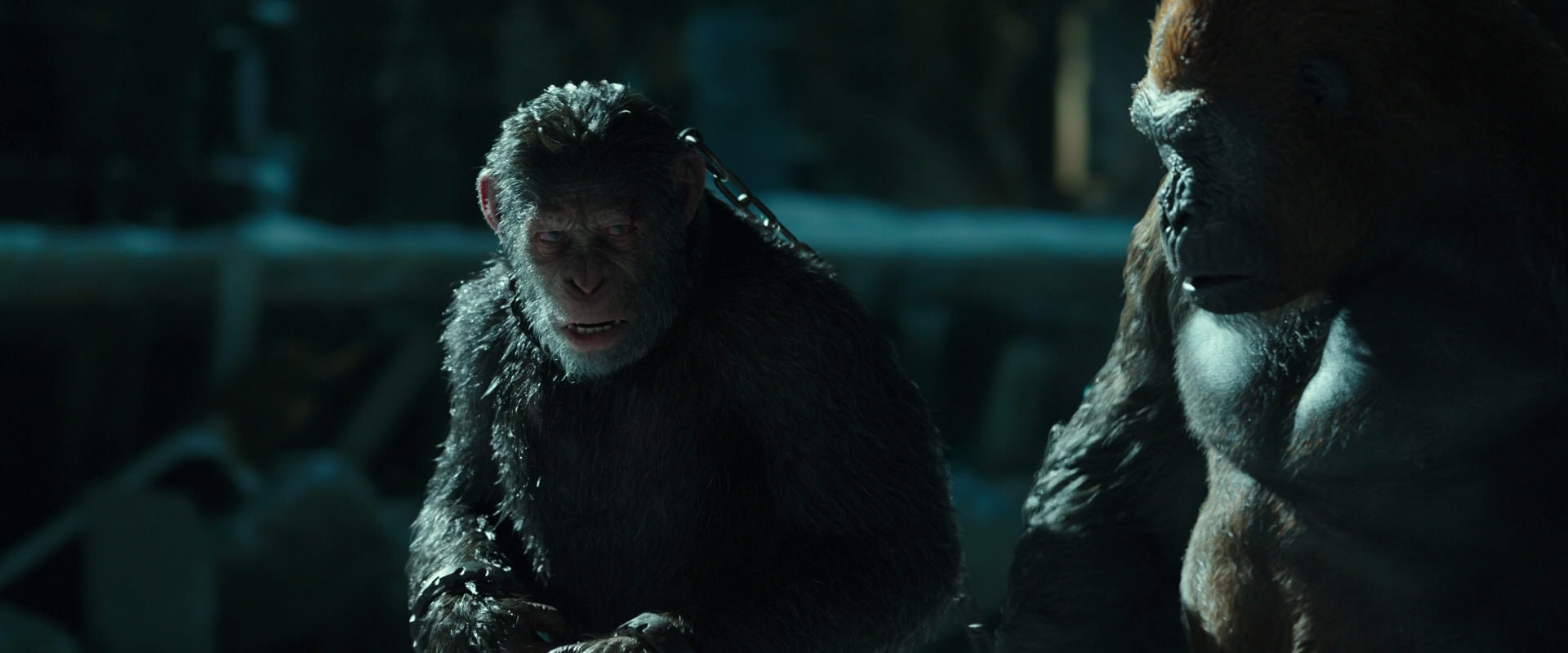 War for the Planet of the Apes (2017) movie still 7528