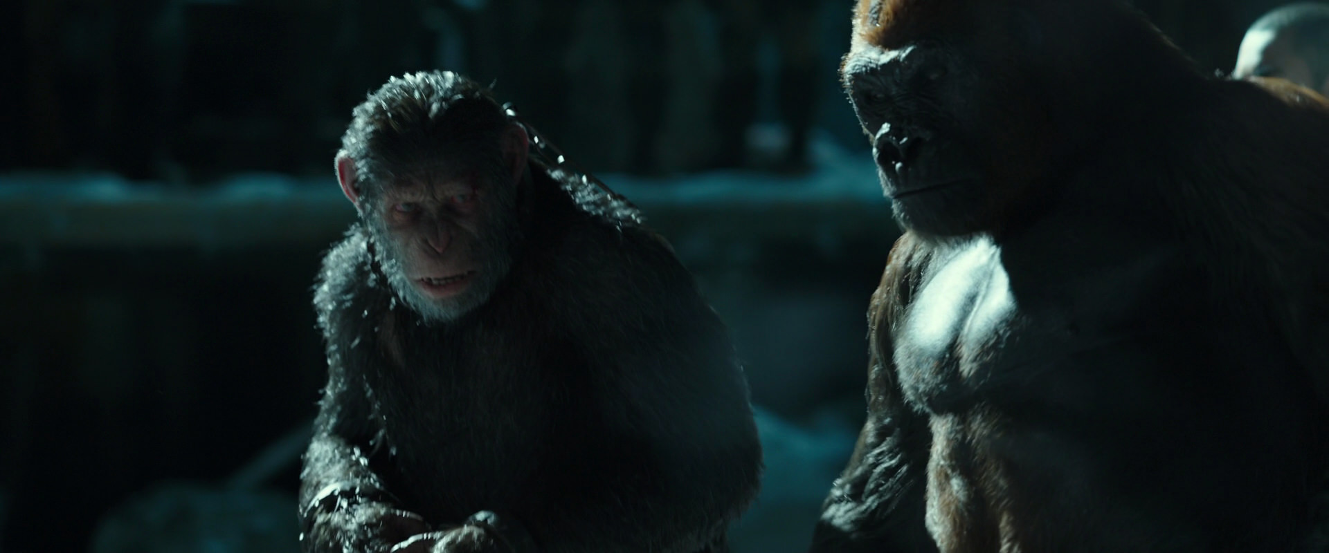 War for the Planet of the Apes (2017) HD screenshot 7529