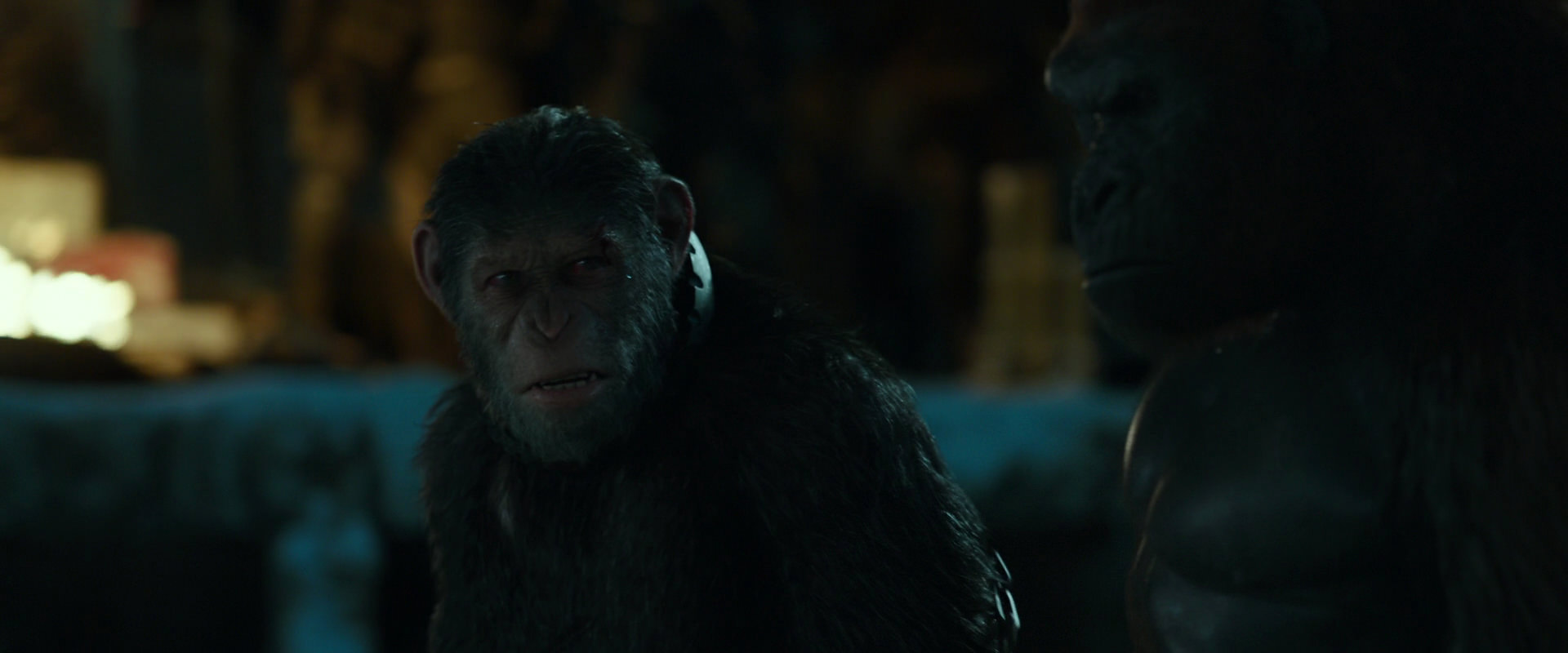 War for the Planet of the Apes (2017) movie still 7537