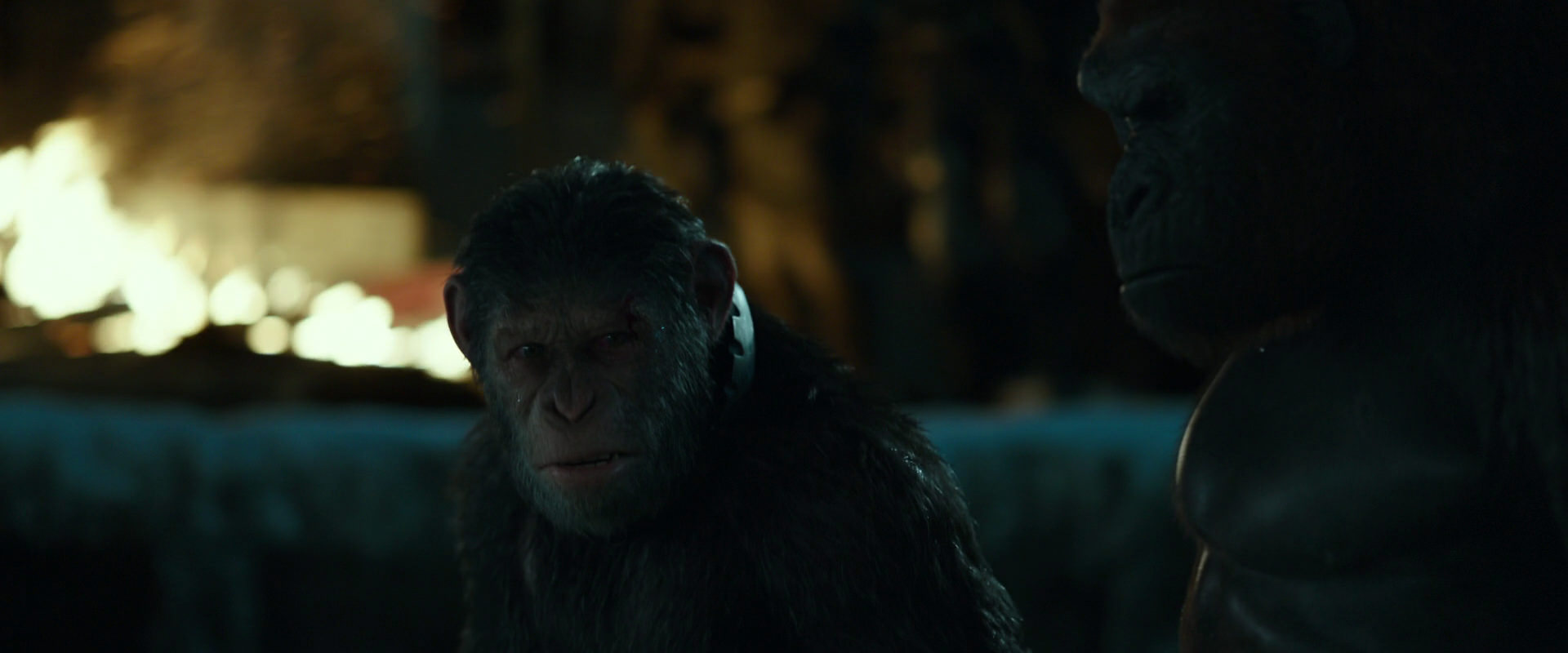 War for the Planet of the Apes (2017) HD screenshot 7538